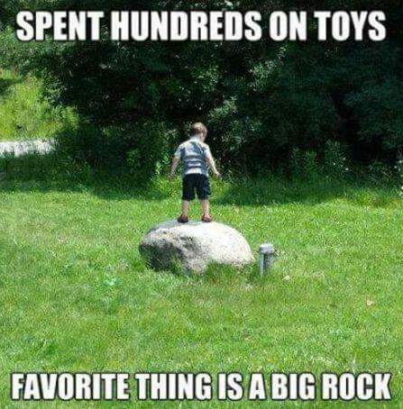 spent hundreds on toys, favorite thing is a big rock