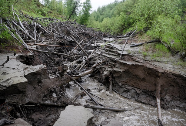 Hunting for mammoths – a new version of the Gold rush