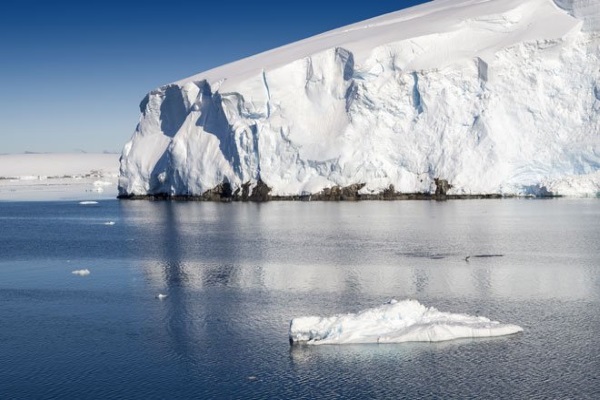 Wonders of Antarctica, which are worth admiration