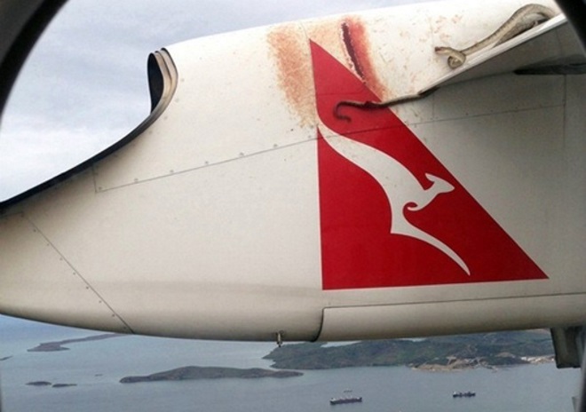 Dangerous surprises, which ruin all desire to visit Australia (25 pics)